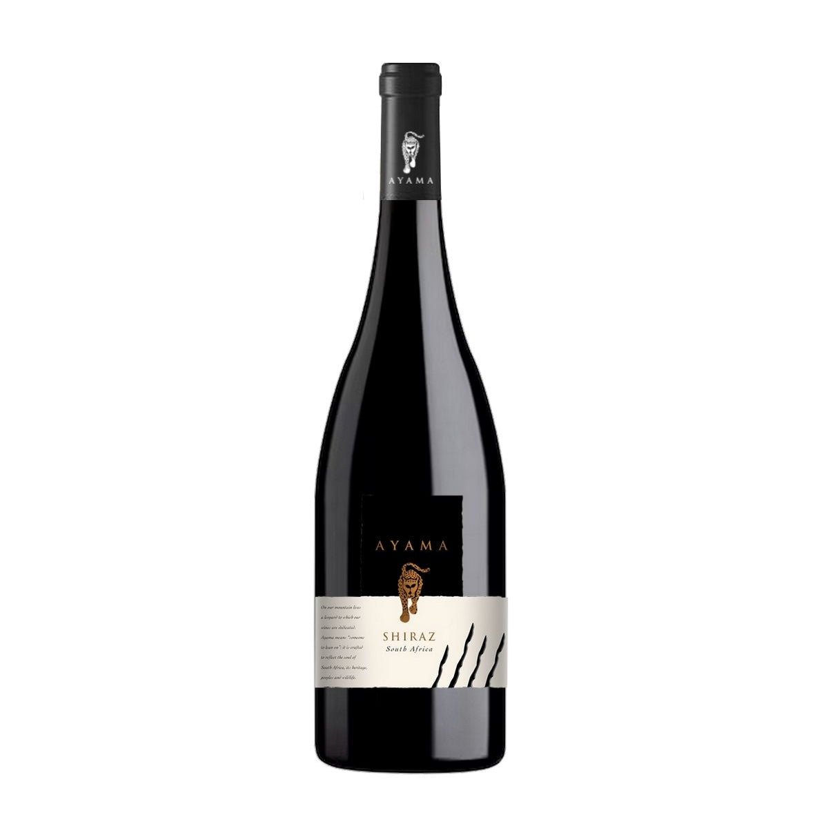 AYAMA SHIRAZ