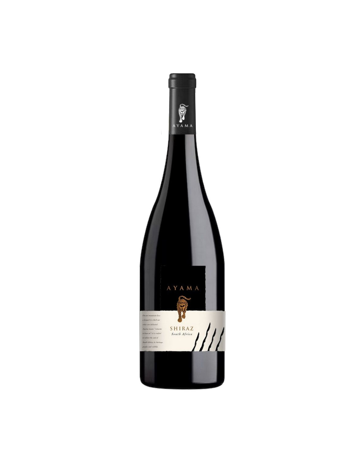 AYAMA SHIRAZ