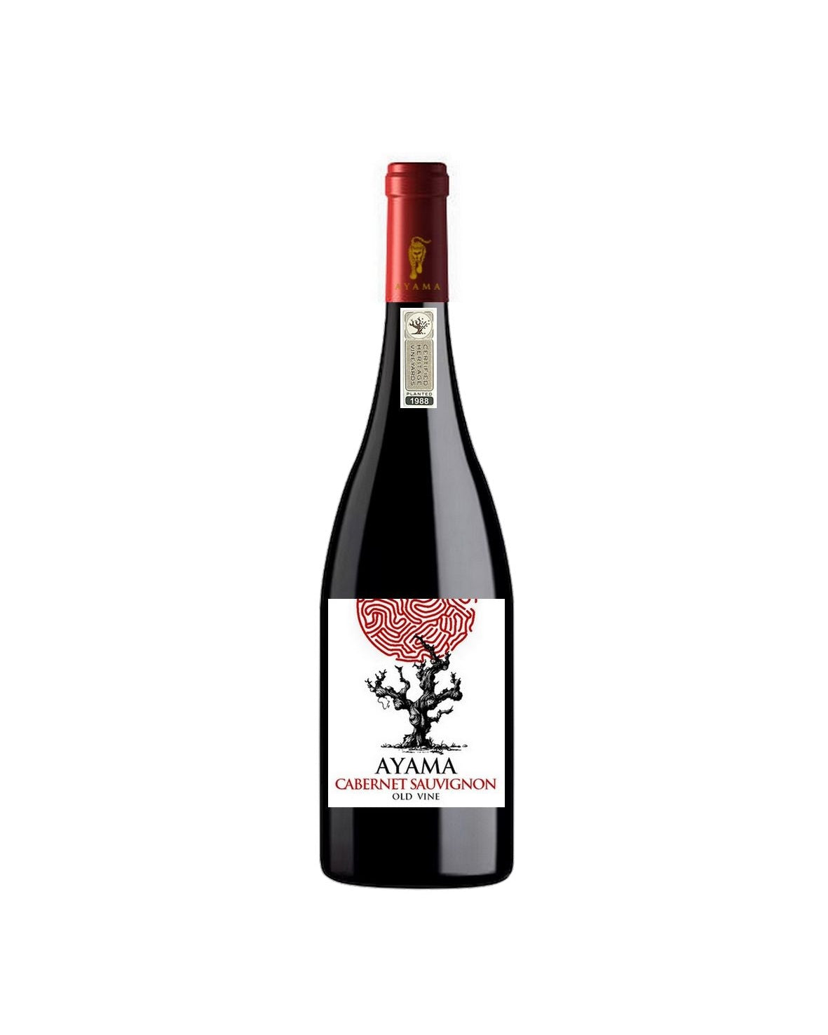 AYAMA CABERNET SAUVIGNON