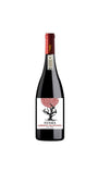 AYAMA CABERNET SAUVIGNON
